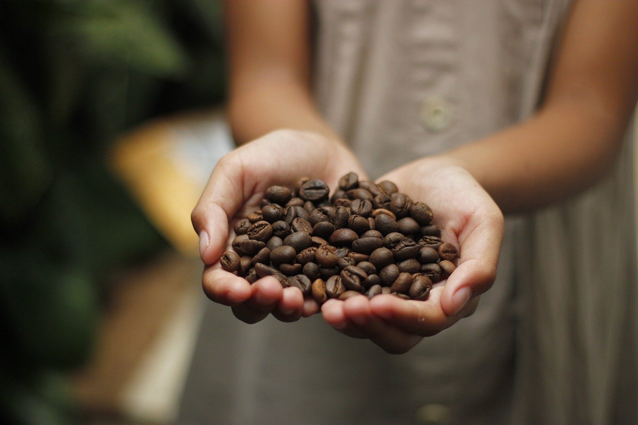 Kawa i jej charakterystyczne cechy oraz pochodzenie
